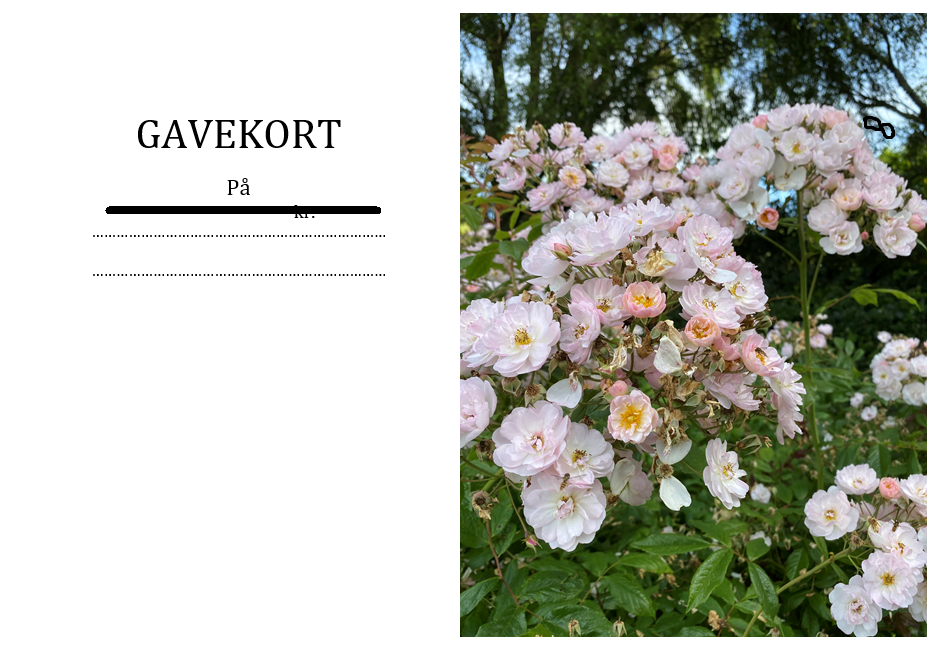 Gavekort