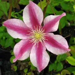 'Patricia Ann Fretwell'