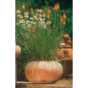 Cachepot liscio - 54 H30 