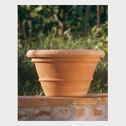 Vaso Liscio - �35 H29