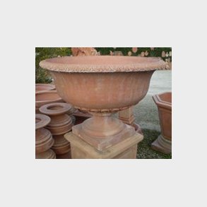 Coppa capri liscia - 88 H62