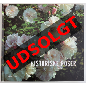 Historiske Roser