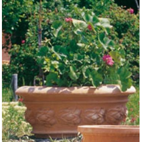 Vasca Ovale con limono 67x49x27