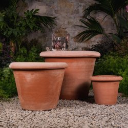 Vaso Camelia Terracotta Impruneta �61 H46