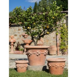 Vaso robbiano - �45 H42