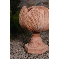 Vaso Tulipano con Piede Terracotta Impruneta