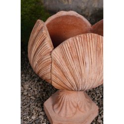 Vaso Tulipano con Piede Terracotta Impruneta